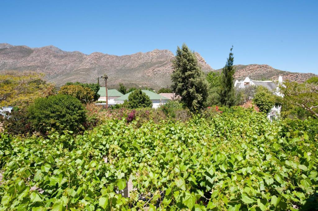 7 Church Street Guest House Montagu Quarto foto